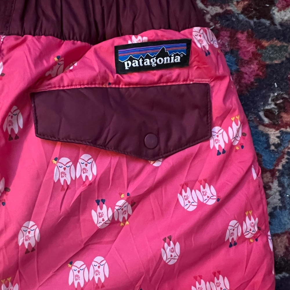 Patagonia kids reversible pants 4T